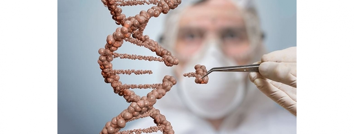 Tranh luận ở New Zealand về lệnh cấm thực phẩm biến đổi gen